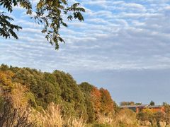 -白鹭湾湿地公园