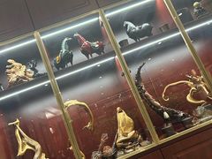 -燕春楼(海河华鼎店)