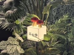 -芸山季·云南山珍菌火锅(南翔印象城MEGA店)