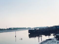 -大湾区中央湿地公园