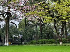 -杭州花家山庄