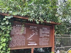 -黔灵山公园