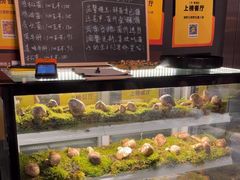 -滇野云南野生菌餐厅(陕西南路店)