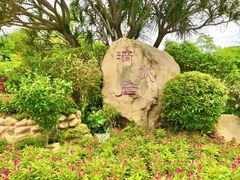 -滴水岩森林公园