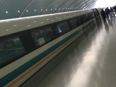 -龙阳路磁悬浮列车总站-停车场