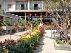 -顺德了能馆(虎门店)