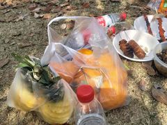 -梁子湖东篱老屋生态庄园
