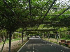-东平国家森林公园