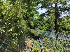 -燕子河大峡谷天坑仙境