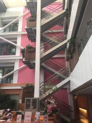 -知爱母婴专护全套房月子会所(新华路店)