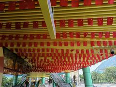 -珠海横琴长隆《卡卡虎奇遇记》