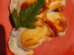 扇贝寿司-小乔回转寿司(铁东万象汇店)