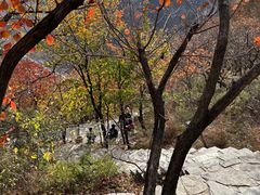 -周口店坡峰岭风景区