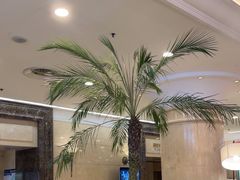 -逸派咖啡 EPARKCOFFEE(广安门店)