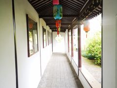 -上海醉白池公园