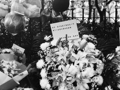 -上海市世外小学