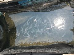 -海上驿站渔家菜馆