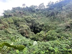 -海口火山口国家地质公园