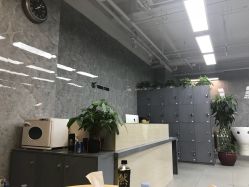 -INS羽毛接发·巴黎画染