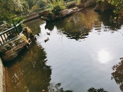 -东湖落雁景区