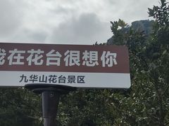 -九华山风景区