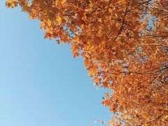 -泰州凤城河风景区-泰山公园