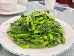 青炒油麦菜-四海回族饭店(前进大街店)