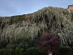 -府河摄影公园
