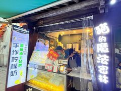 -猫的魔法密林(衣裳街店)