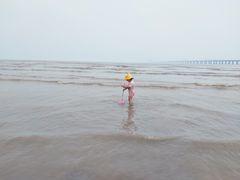 -南汇新城海滩