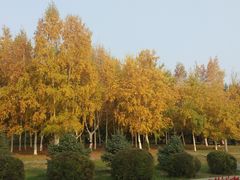 -长春公园(普阳街道)