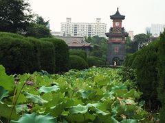 -四川大学(华西校区)