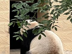 -石家庄市动物园