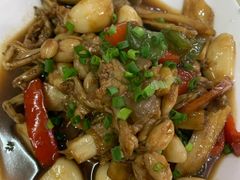 -品雅轩农家乐