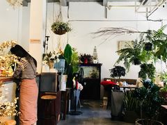 -蓝山四季西餐植物店