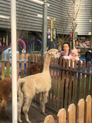 -萌宠亲子动物乐园(槐房万达店)