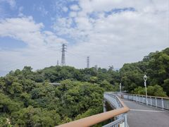 -金鸡山公园