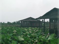 -军山湖云水间生态农业旅游景区