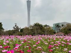 -二沙岛艺术公园