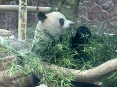 -黔灵山公园