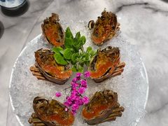 -蘭心·臻品(瑞虹太阳宫店)