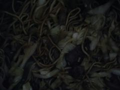 -聚发号清真菜馆