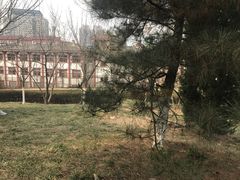 -西安青龙寺遗址景区