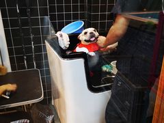 -Goku PET SHOP宠物视觉生活馆(双井店)