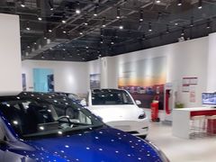 -TESLA 特斯拉(北京颐堤港体验店)