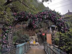 -巴倒烫陆派重庆火锅(南山店)
