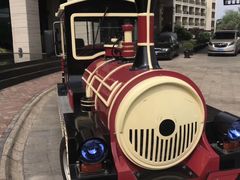 -上海东方佘山翰悦阁酒店·Vie全日制餐厅