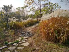 -梁鸿国家湿地公园