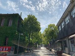 -半岛公馆(淞兴西路店)