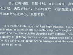 -红梅公园
